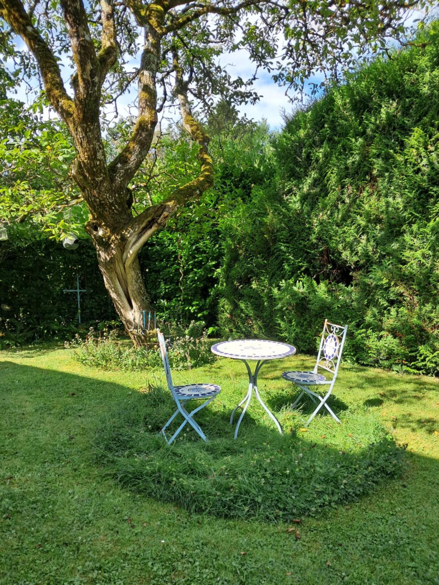 Le Buisson De La Gariole Bed & Breakfast Aubigny-sur-Nère Exterior foto
